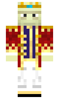 ShulkerWarrior minecraft skin