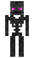 WitherDragon minecraft skin