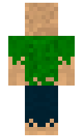 b3d28bb5d8614c minecraft skin