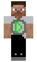 DANILKA1802 minecraft skin