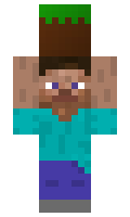NickNack0117 minecraft skin