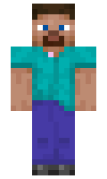 fretfr minecraft skin