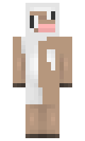 Killevaan minecraft skin