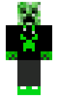 HP321 minecraft skin