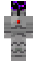 elX401 minecraft skin