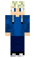 PRECISION minecraft skin