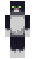 b491b30514dc79 minecraft skin