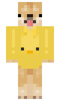 b495dcdbbdc555 minecraft skin