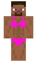 brapfart minecraft skin
