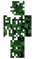 batschool minecraft skin