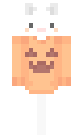 b4f9a5fbb60dfa minecraft skin