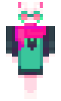 S127 minecraft skin