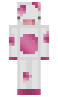 geesco minecraft skin