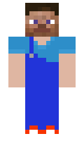 b51dec62d6b6c0 minecraft skin