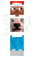 b5388a688e1201 minecraft skin