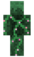 b53def2d7d22ab minecraft skin