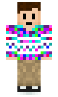 DNS minecraft skin