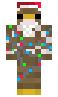 b5570776ce55fa minecraft skin