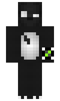 b55c2e096d935a minecraft skin