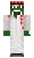 b5a5a2d7c69827 minecraft skin
