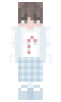 b5af62452fab50 minecraft skin