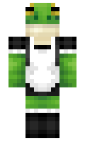 electricgay minecraft skin