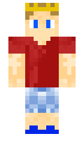 ONEPLUS minecraft skin