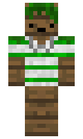 b5e2ad25fc542b minecraft skin