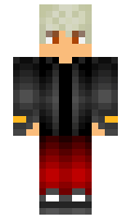 dimonsss minecraft skin