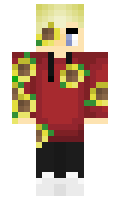 b62cf4474eb03b minecraft skin