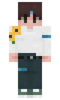 zawashint minecraft skin