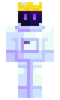 Pixelprond minecraft skin