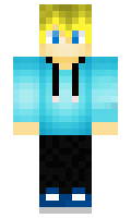 parsan minecraft skin