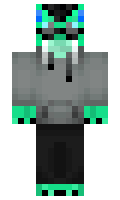 HoodsTFL minecraft skin