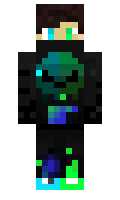 beeveloper minecraft skin