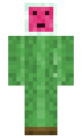 minimelon1066 minecraft skin