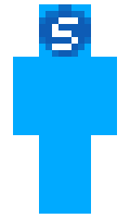 swat minecraft skin