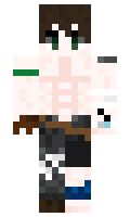 b6a4ee329d856e minecraft skin