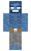 wars minecraft skin