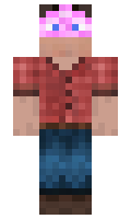edson minecraft skin