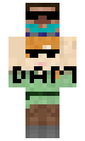 b6f6efa89995dc minecraft skin