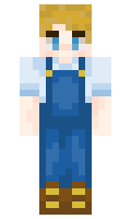 b70b9ef7ccaaca minecraft skin