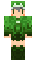 b72dfd52133833 minecraft skin