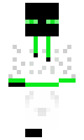 b73b7e86e2b355 minecraft skin