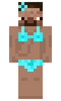 b749784228039b minecraft skin