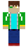 PM649 minecraft skin