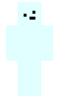 pooooonta minecraft skin