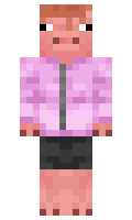 b788a9e4e34bd5 minecraft skin