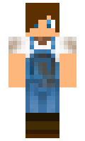 math066i minecraft skin