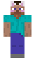 Penips minecraft skin